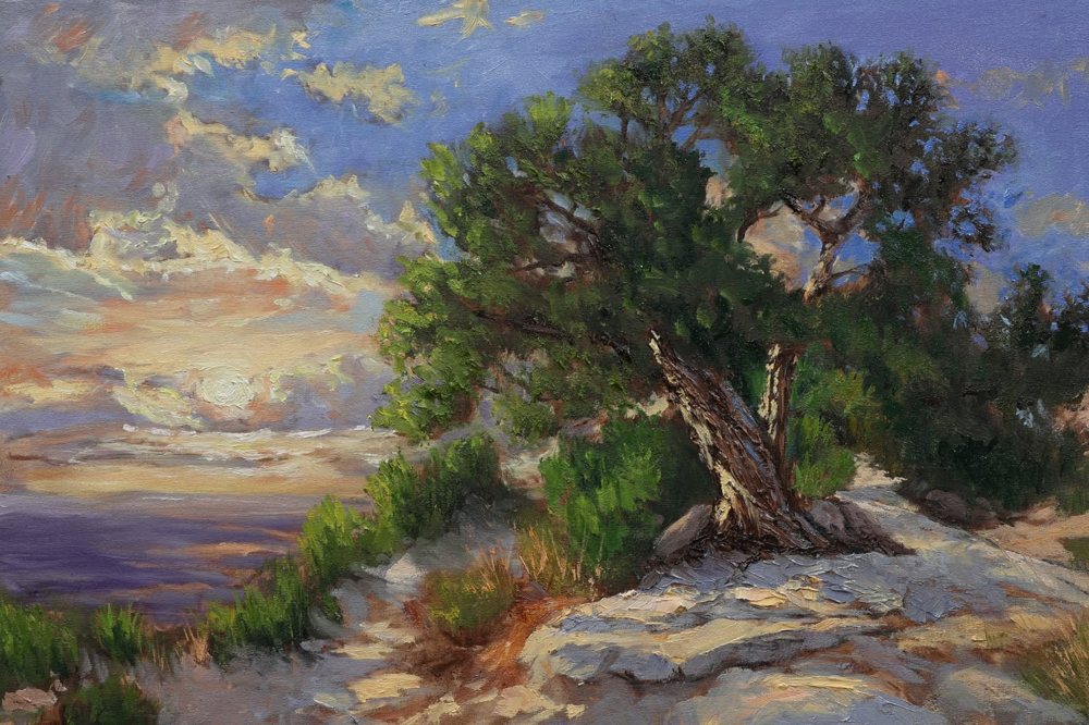 Old Juniper on a Cliff, oil painting by George Wood