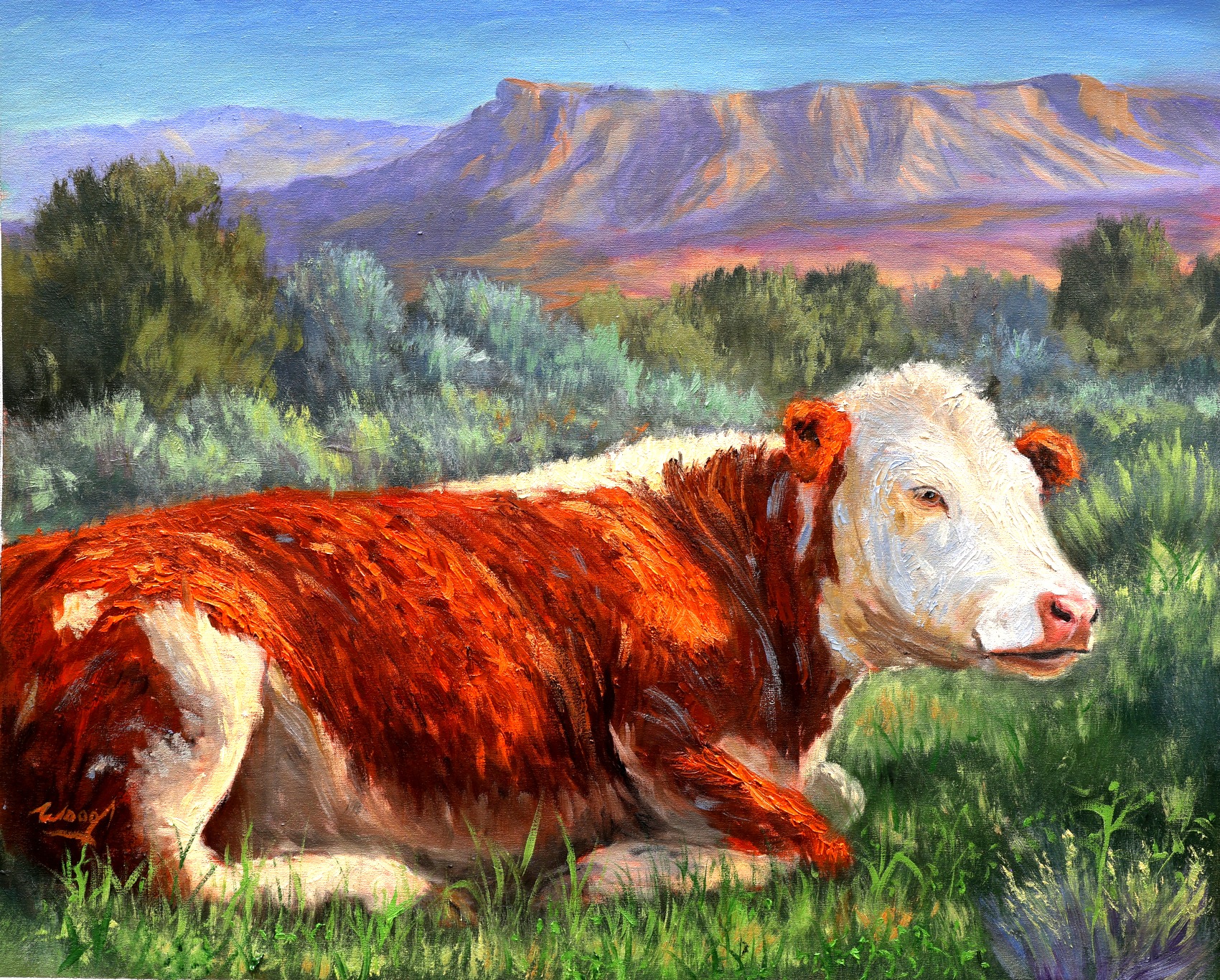Valley Hereford, original oil painting of a Hereford cow in the Grand Valley by George Wood